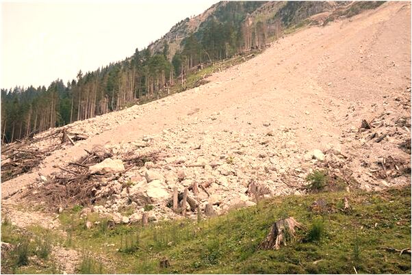 夢見夢王八是凶兆還是吉兆_周公解夢官網