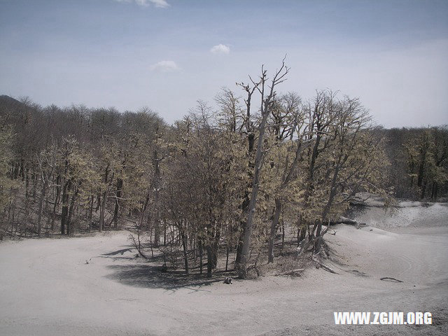 夢見去世爺爺_周公解夢夢到去世爺爺是什麼意思_做夢夢見去世爺爺好不好_周公解夢官網