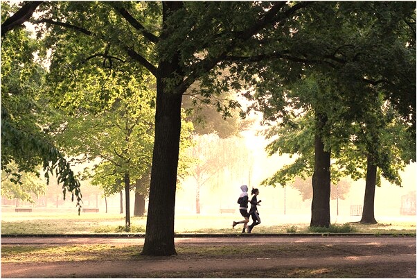 夢到了貓死了身上還有很多蛆有什麼說法_周公解夢官網