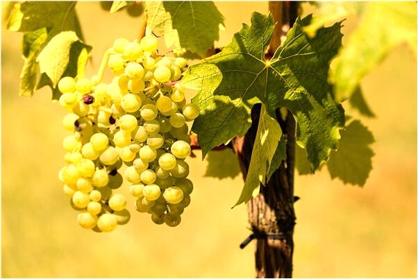 夢見和同學見面是好事還是壞事_周公解夢官網