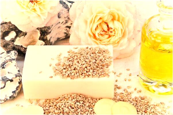 夢到抓住一隻鸚鵡預示著什麼_周公解夢官網