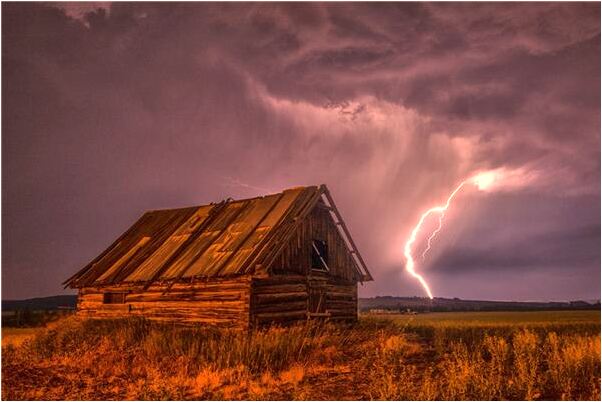 夢到親人殺豬見血拿豬身上東西預示著什麼_周公解夢官網