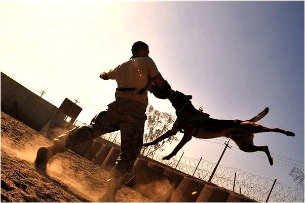 夢到了我生下來的是我老公是什麼預兆?_周公解夢官網