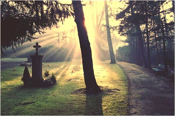 夢見自己在棺材裡別人給穿衣服意味著什麼_周公解夢官網