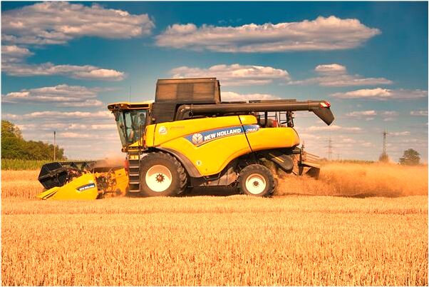 夢到自己得病快要死去會是什麼預兆_周公解夢官網