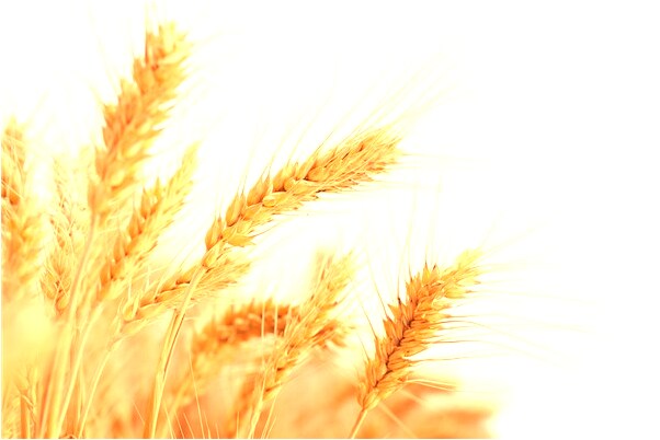 夢到了男友穿女裝預兆了什麼嗎_周公解夢官網