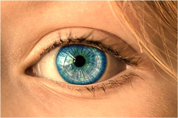 夢到了換新瓦代表著什麼？_周公解夢官網