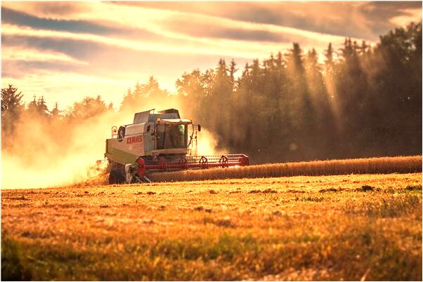 夢見別人臉上長了好多魚鱗是啥預兆_周公解夢官網