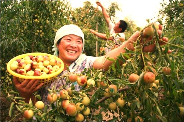 夢到了懸崖下邊睡覺會是什麼預兆_周公解夢官網