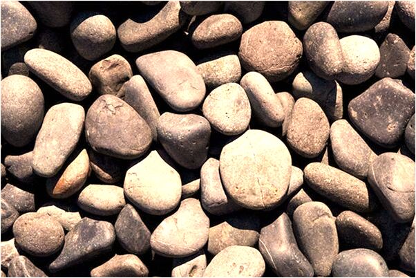 夢到了個大蟒蛇做鬥爭預示什麼_周公解夢官網