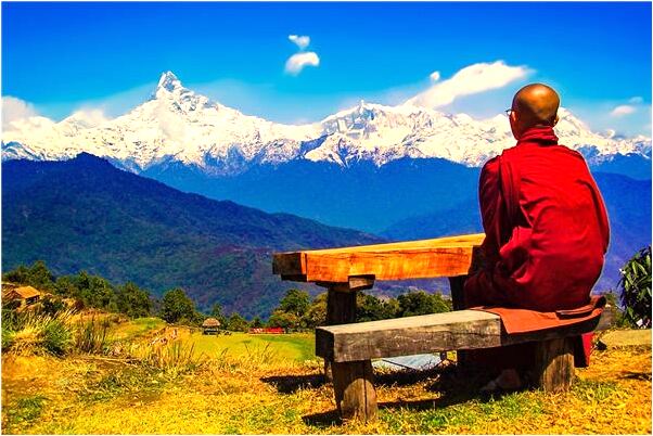 夢見後媽給我吃西紅柿會有什麼預兆_周公解夢官網