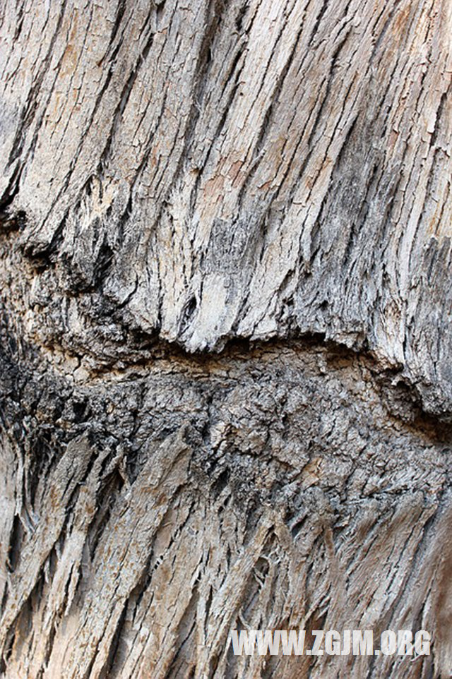 夢見外面下雨_周公解夢夢到外面下雨是什麼意思_做夢夢見外面下雨好不好_周公解夢官網