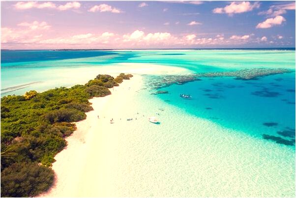 夢到路邊很多蛇關籠子是什麼預兆_周公解夢官網