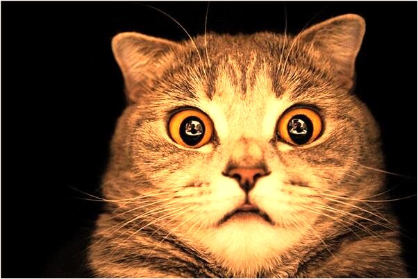 夢到了鞋破了個口有什麼預兆_周公解夢官網