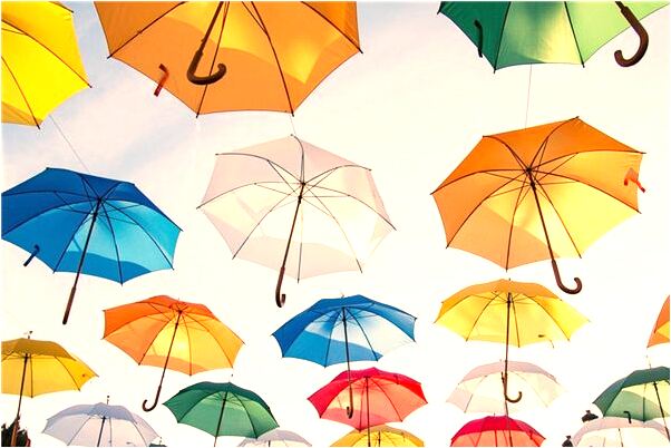 夢到懷孕老婆怪魚啥意思_周公解夢官網