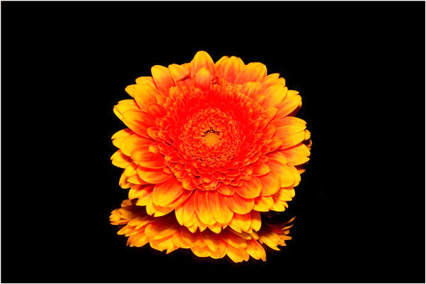 夢到朋友送來資料會是什麼預兆_周公解夢官網