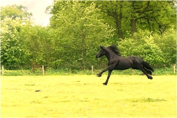 夢到太空衣頭盔是凶兆還是吉兆_周公解夢官網