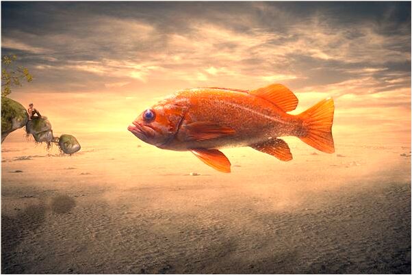 夢見長很長的鬍子是好是壞_周公解夢官網