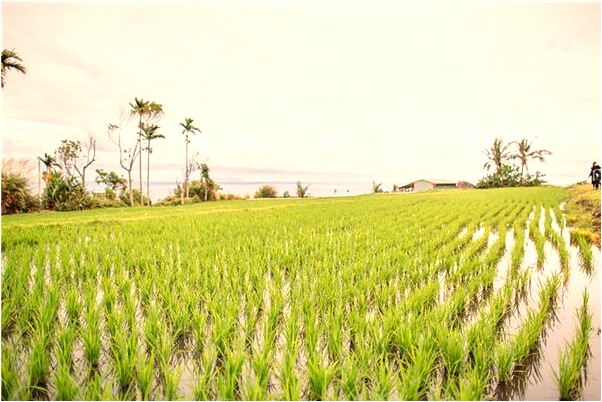 夢到家裡發大水又著火什麼寓意_周公解夢官網