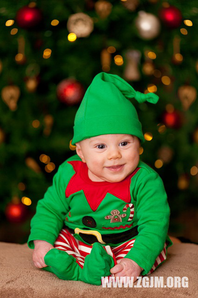 夢見蛇爬樹上_周公解夢夢到蛇爬樹上是什麼意思_做夢夢見蛇爬樹上好不好_周公解夢官網