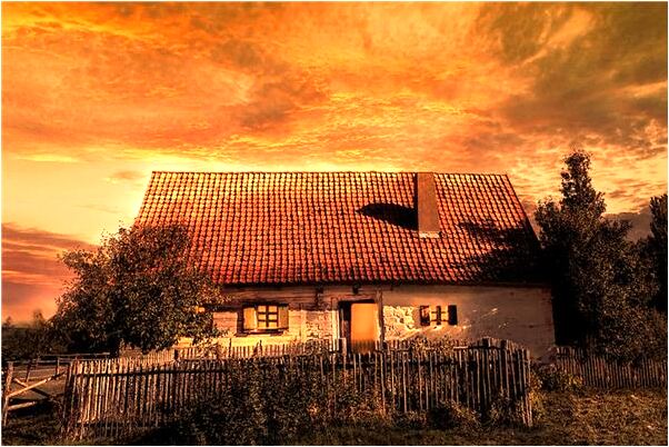 夢到買到很多肉是吉兆嗎?_周公解夢官網