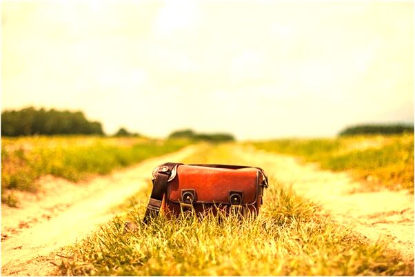 夢到自己發芽預兆了什麼嗎_周公解夢官網