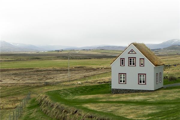 夢到弟弟家有什麼含義_周公解夢