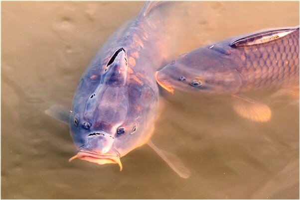 夢見別人忘穿褲子是凶兆還是吉兆_周公解夢官網