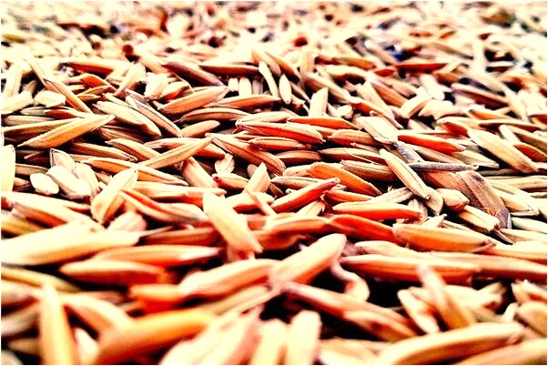 夢到與女魔頭結婚後相互謀殺好不好_周公解夢官網