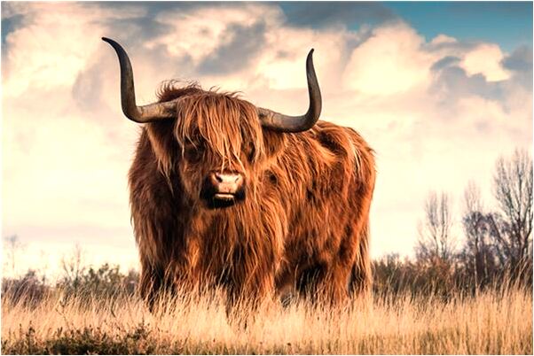 夢到了孩子調皮有什麼說法_周公解夢官網