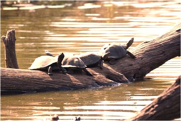 夢到了在冷屋子睡是什麼意思_周公解夢官網