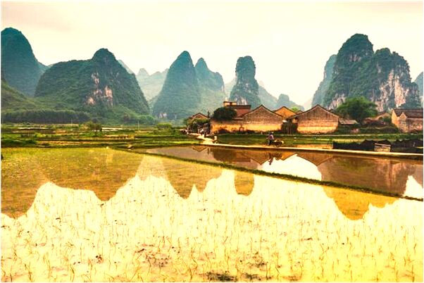 夢見奶媽帶病在小河裡洗菜會有什麼預兆_周公解夢官網