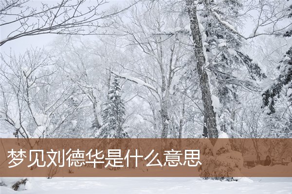 夢見劉德華是什麼意思_周公解夢