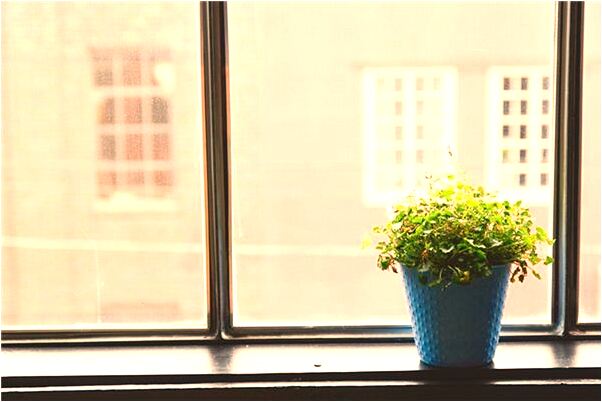 夢見自己改嫁老頭啥意思_周公解夢官網