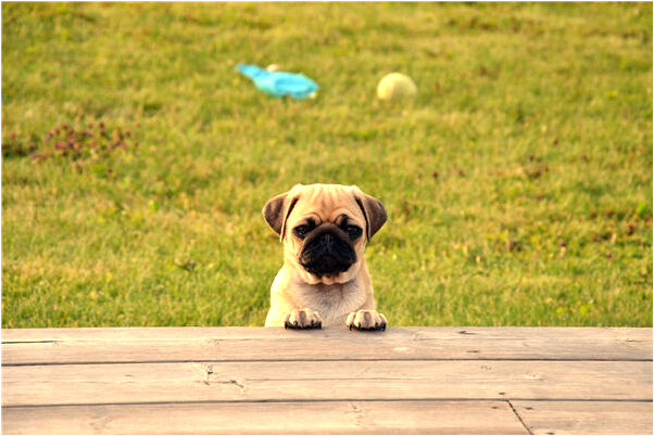 夢見被媽媽責罵是什麼預兆？_周公解夢官網