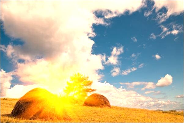 夢到了自己拔上牙出血是好事還是壞事_周公解夢官網