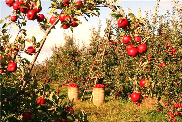 夢到情人說陪我一起睡是什麼意思？_周公解夢官網