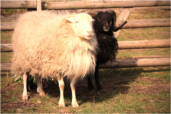 夢到穿紅衣服兩個女人有什麼寓意嗎_周公解夢官網