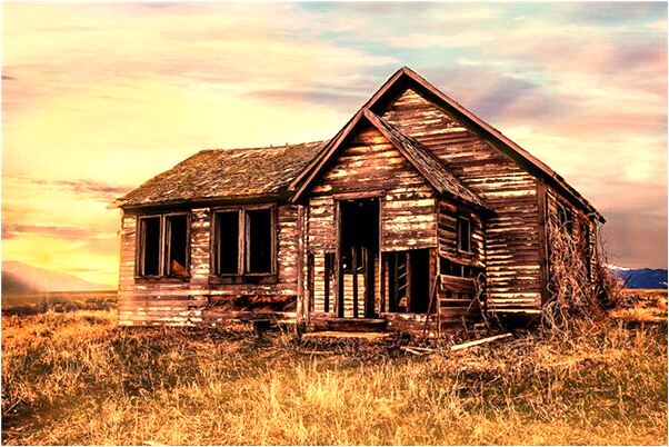 夢到貓受傷走失有什麼說法_周公解夢官網