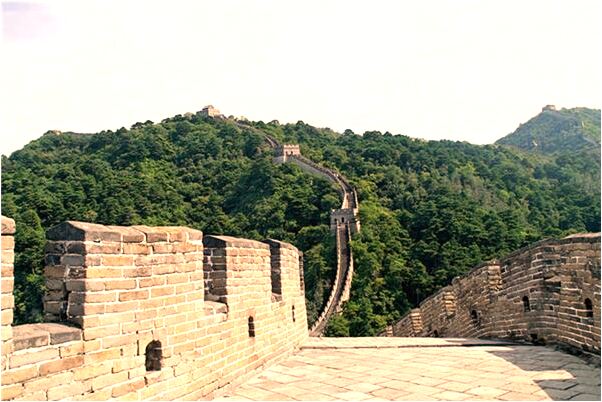 夢到了有人殺死自己的親人是吉兆嗎?_周公解夢官網