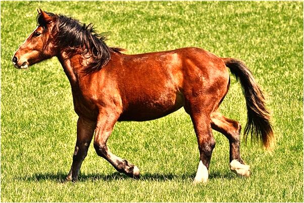 夢到了洗飯碗什麼預兆_周公解夢官網