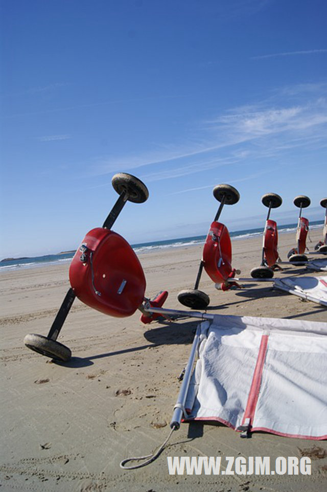 夢見梨樹林樹上結滿了梨_周公解夢夢到梨樹林樹上結滿了梨是什麼意思_做夢夢見梨樹林樹上結滿了梨好不好_周公解夢官網