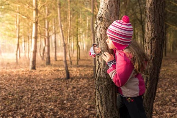 夢見自己被追不斷躲藏_周公解夢