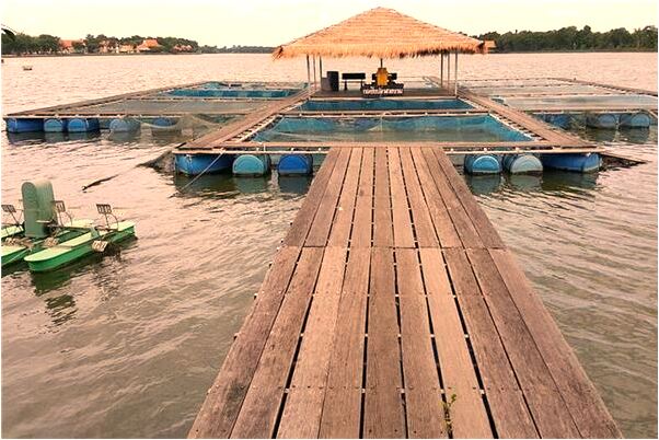 夢見蔣孝章有什麼意義嗎_周公解夢官網