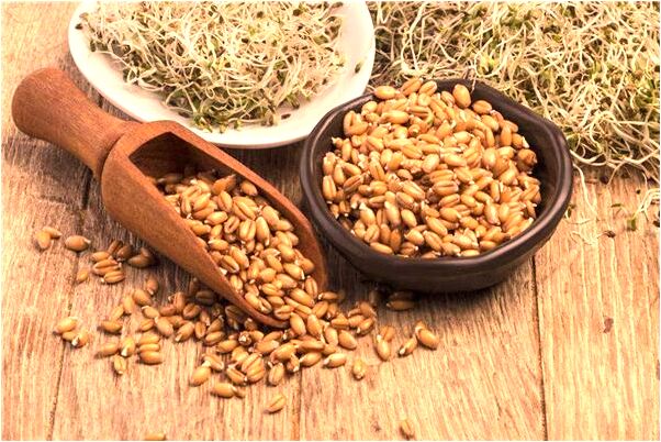 夢到了死去的人搶飯吃是咋回事_周公解夢官網