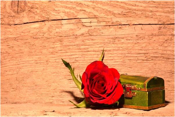 夢到見不到與二環是啥意思_周公解夢官網