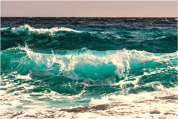 夢到了姓楊的會有什麼預兆_周公解夢官網