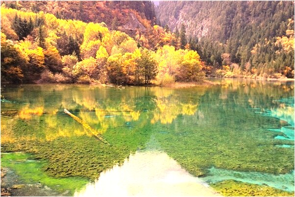 夢見蛇醒了有何寓意_周公解夢官網