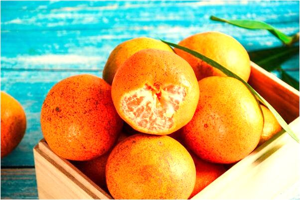 夢見一條蛇爬上床上在被子上面有什麼預示嗎_周公解夢官網