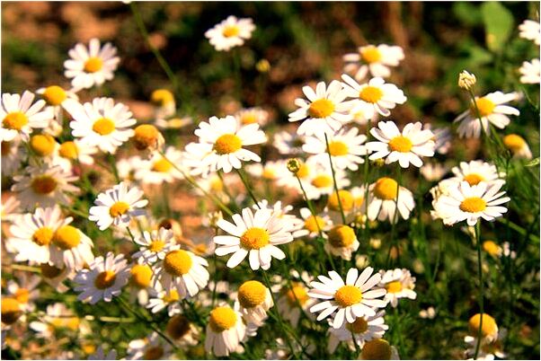 夢到和老公同房怎么解代表著什麼？_周公解夢官網